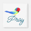 Recherche de jolis oiseaux magnets Pour tous