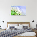 Recherche de grains art Photographie