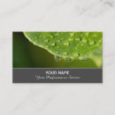 Recherche de gouttes de pluie cartes visite Fleur