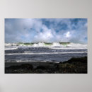 Recherche de mouettes art Rivage