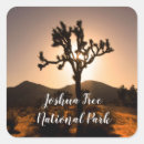Recherche de joshua tree autocollants Pittoresque