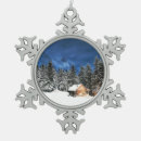 Recherche de chalet ornements Cabane