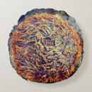 Recherche de oursins coussins Mer