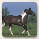 Recherche de peignez le cheval Fonctionnement