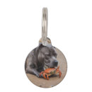 Recherche de sonnerie animaux articles Dogs