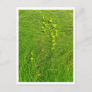 Recherche de lierre cartes postales Vert