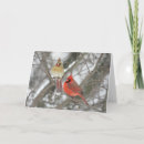 Recherche de birding vœux cartes Faune