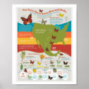 Recherche de migration de papillon Monarque