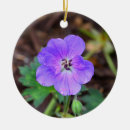 Recherche de pourpre de fleur ornements Jardin
