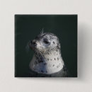 Recherche de joint badges Animaux