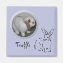 Recherche de perte de mémoire magnets Animal