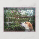 Recherche de renouvellement cartes postales Printemps