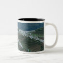 Recherche de riz tasses Champ