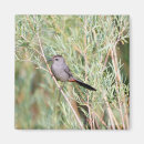 Recherche de observé magnets Faune