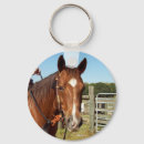 Zoek naar aqha Kwart