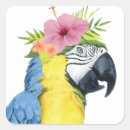 Recherche de perroquet autocollants Animal