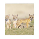 Recherche de habitat blocsnotes Faune