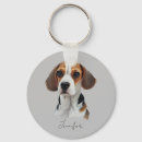 Recherche de beagle porteclés Chien