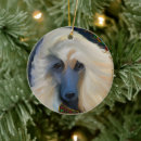 Recherche de kokopelli ornements Noël