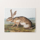 Recherche de lièvres puzzles Lapin