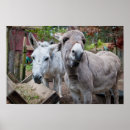 Zoek naar grappige ezel kunst Boerderij