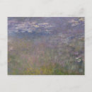 Recherche de agapanthus cartes postales Impressionnisme
