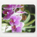Recherche de orchids tapis souris Moderne