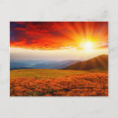 Recherche de faisceau cartes postales Beau