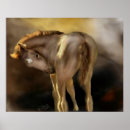 Recherche de pouliches posters Poney