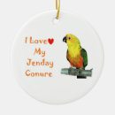 Recherche de conure Oiseau
