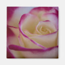 Recherche de doubles magnets Rose