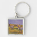 Recherche de antilope porteclés Pronghorn