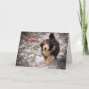 Zoek naar hondkerstmis kaarten Honden