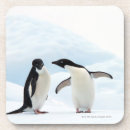 Recherche de pingouin dessous de verres Amour