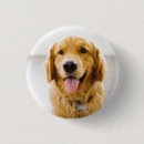 Recherche de souriant badges Chiot