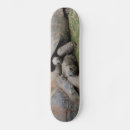 Recherche de le géant skateboards Tortues