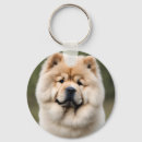 Recherche de chow porteclés Chiot