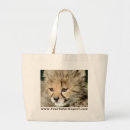 Recherche de petit animal sacs Chat