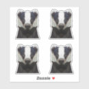 Recherche de blaireaux autocollants Noir et blanc