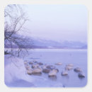 Recherche de poulailler autocollants Oiseau