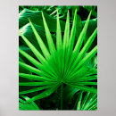 Zoek naar tropisch plant posters Groene bladeren