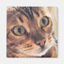 Recherche de fascinant magnets Animaux