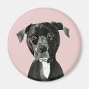 Recherche de taureaux magnets Pour elle