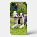 Zoek naar honds hoesjes Gelukkig