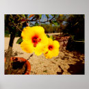 Recherche de jaune posters Tropical