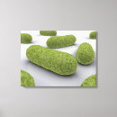 Zoek naar microben kunst Microbiologie