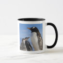 Recherche de gentoo tasses Antarctique