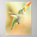 Zoek naar vroege vogels posters Natuur