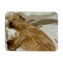Recherche de petit chien magnets Dog