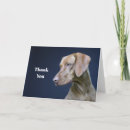 Zoek naar vizsla briefkaarten Canine
